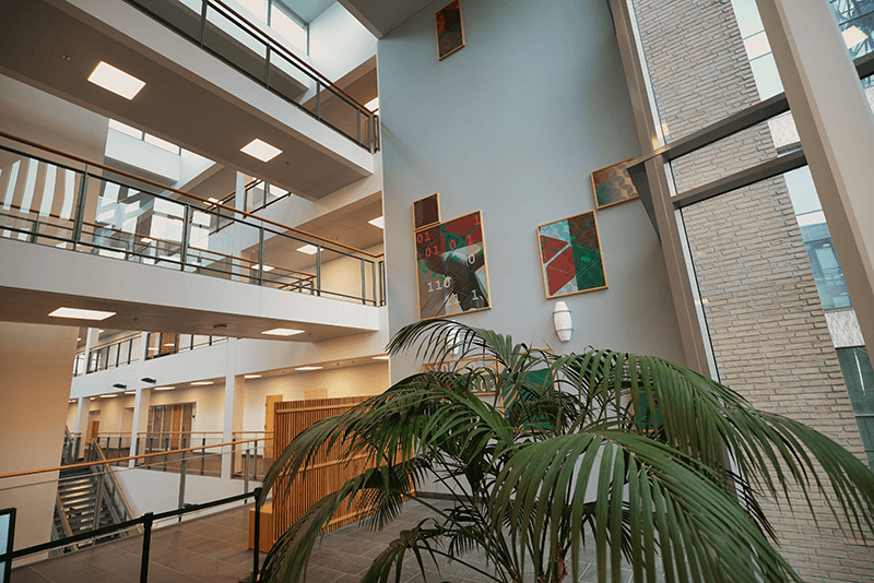 Hallway and plants in the INCUBA premises