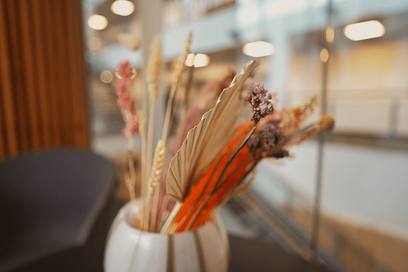 Blomster og en bænk